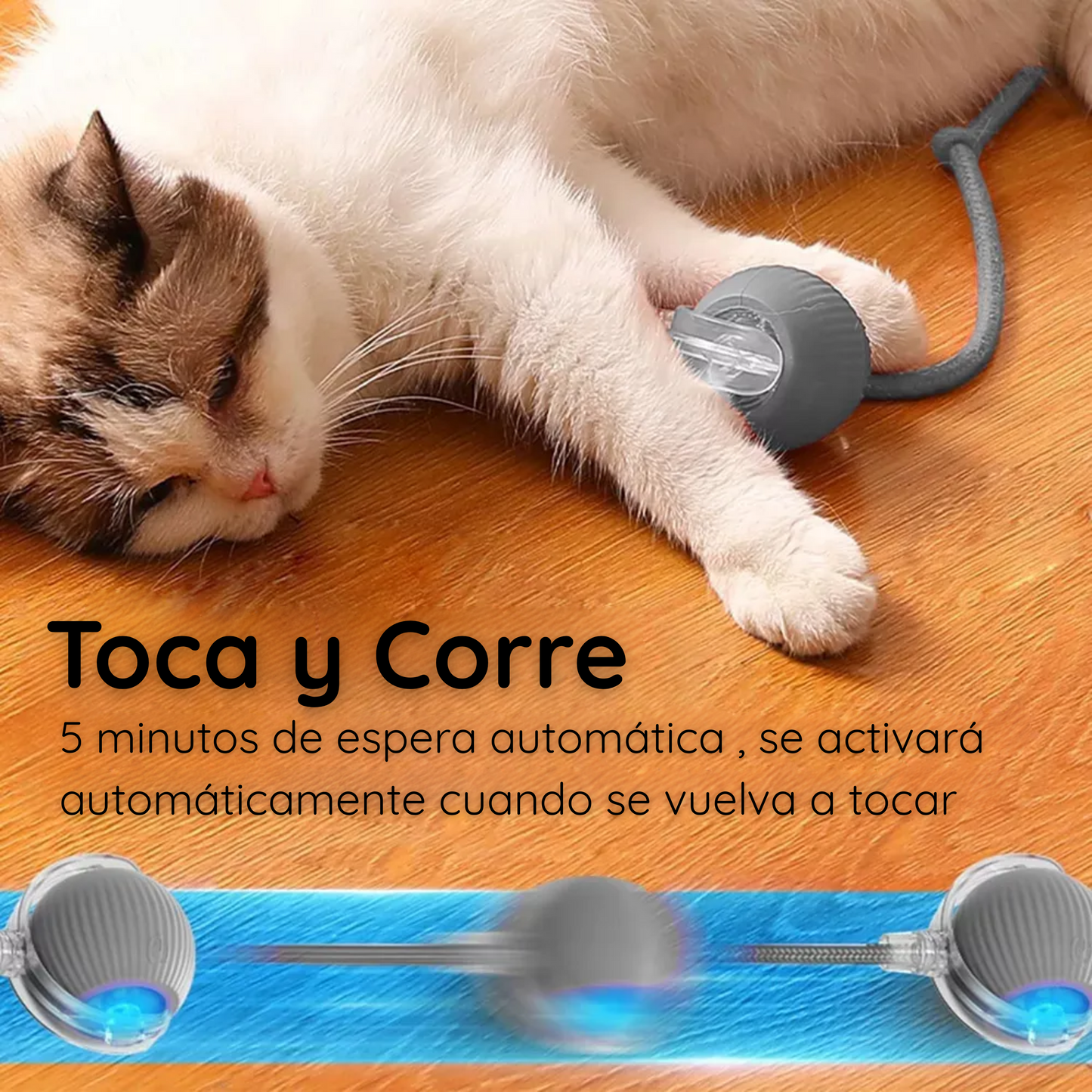 Interactive Cat Toy Ball