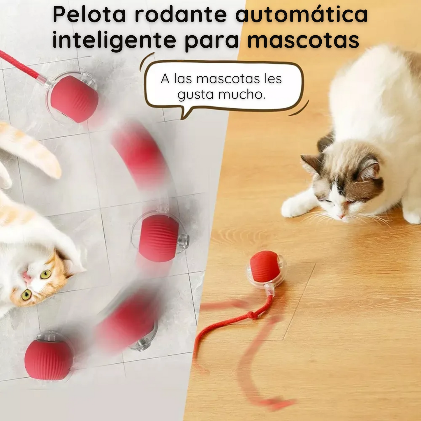 Interactive Cat Toy Ball