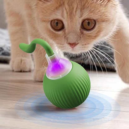 Interactive Cat Toy Ball
